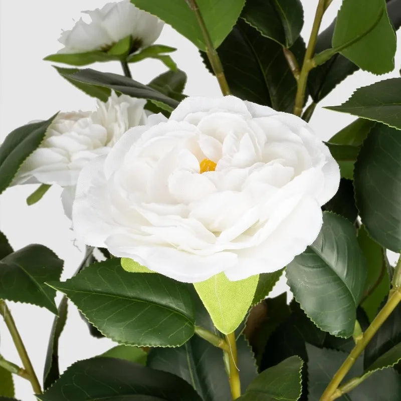 2 Pack Artificial Camellia Tree