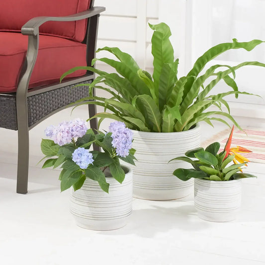 Pottery 6"  Ceramic Planter, White